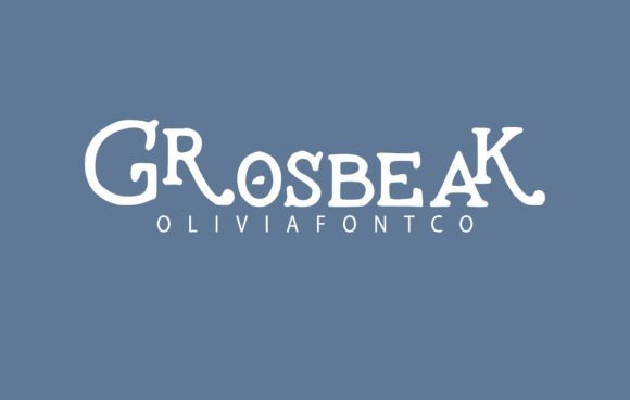 Grosbeak Font: A Handwritten Typeface for Modern Web Design