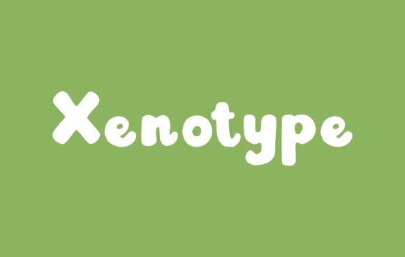 Xenotype: A Handwritten Font for Creative Marketing